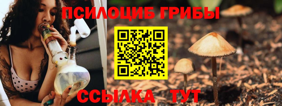 Псилоцибиновые грибы ЛСД  Галлюциногенные грибы ЛСД  Туапсе  Вход с VPN 